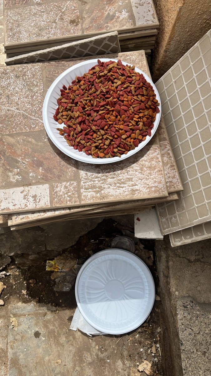 Ali Alanzi tweet media