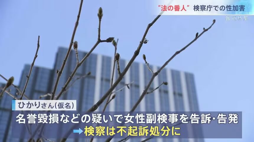 女たちのデータベース広場 tweet media