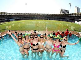 View From The Blues tweet media