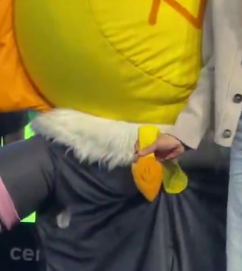 เดสทิ ᵕ̈ tweet media