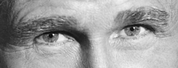 Bufo Calvin tweet media