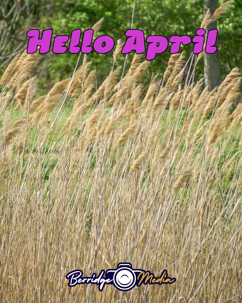 BerridgeMedia's tweet photo. Hello, April. 🌾

A new month, lighter days, and the quiet signs of spring settling in. https://t.co/tNfKalCBX6