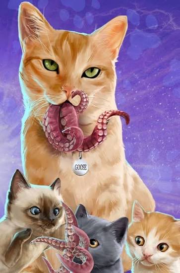 Shai - שי tweet media