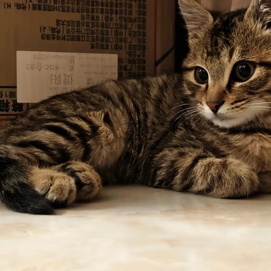 Sara Mary ⭐❤️ tweet media