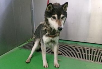 くるみmama tweet media