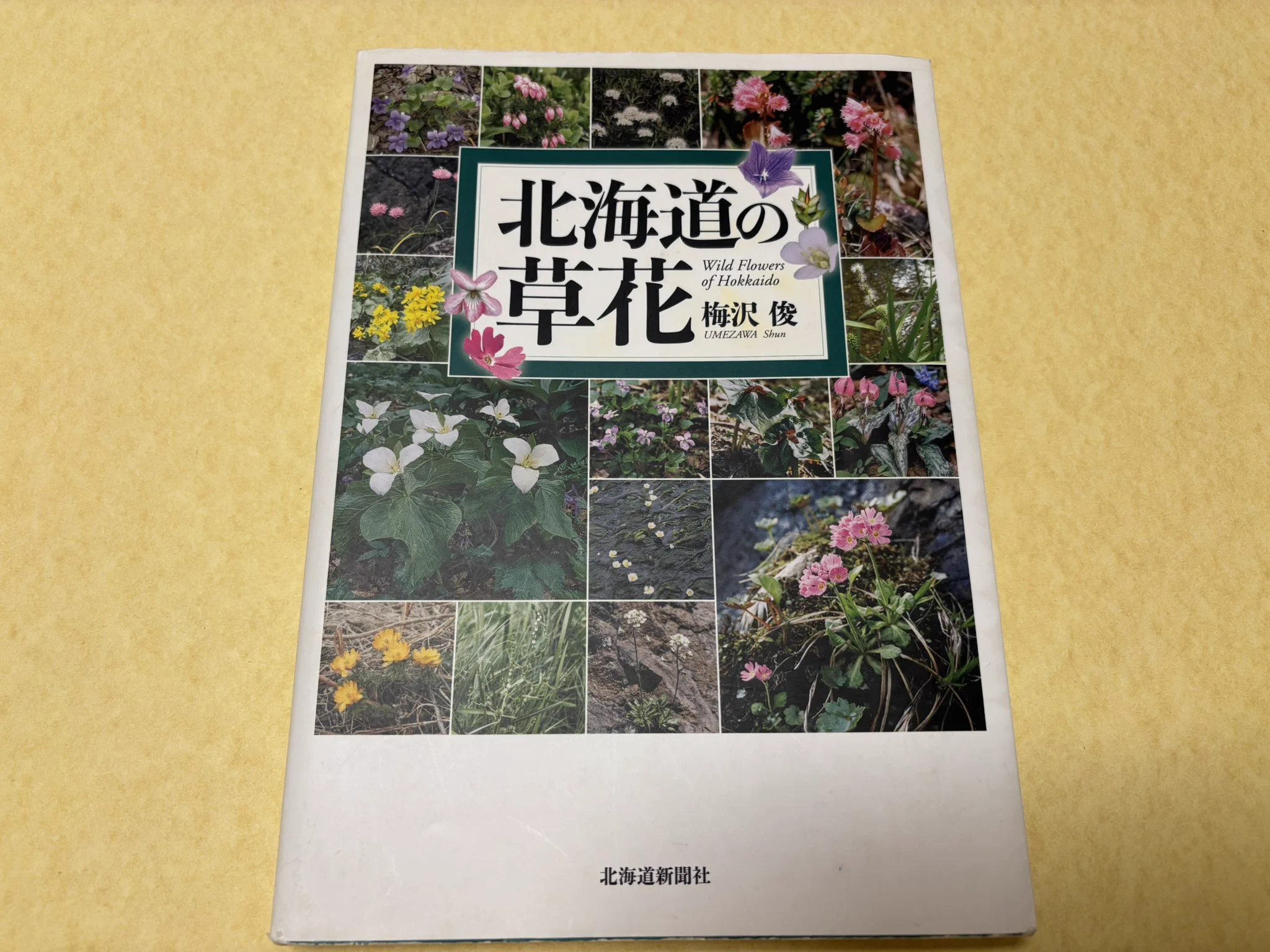 川崎映 on X: 