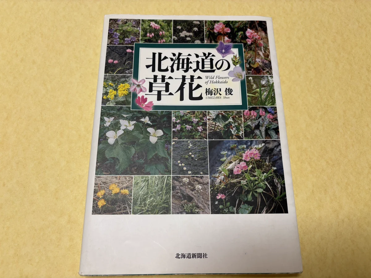 川崎映 on X: 