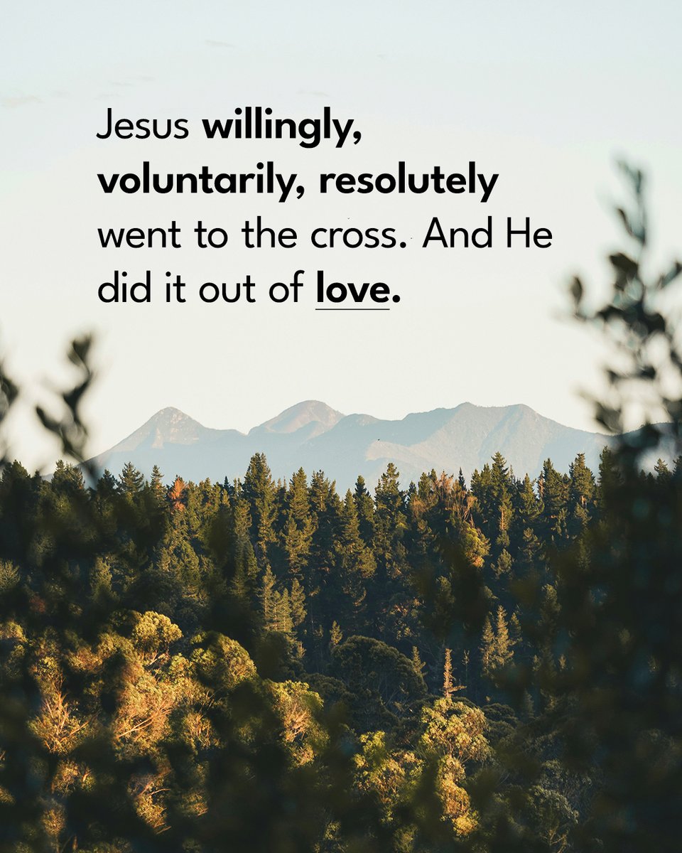 Leading The Way tweet media