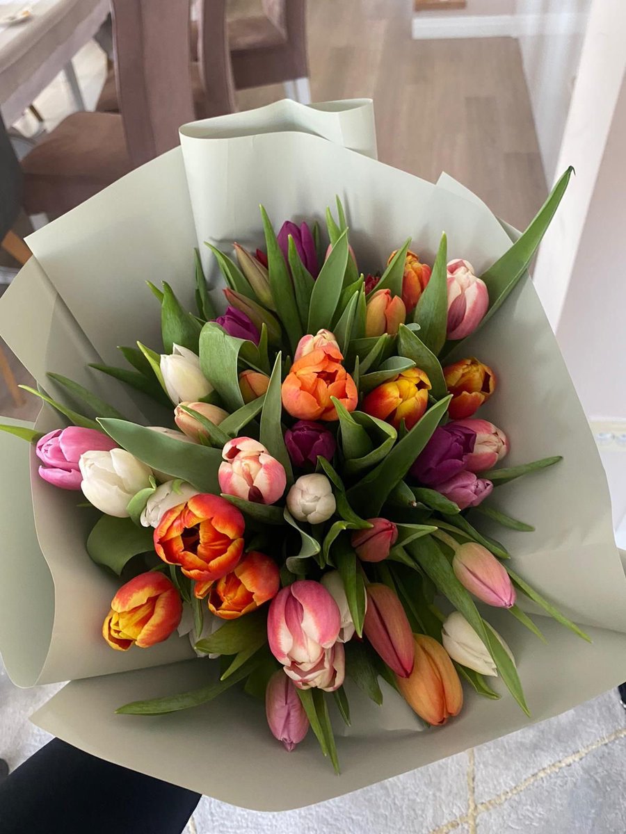 Tulips Library tweet media