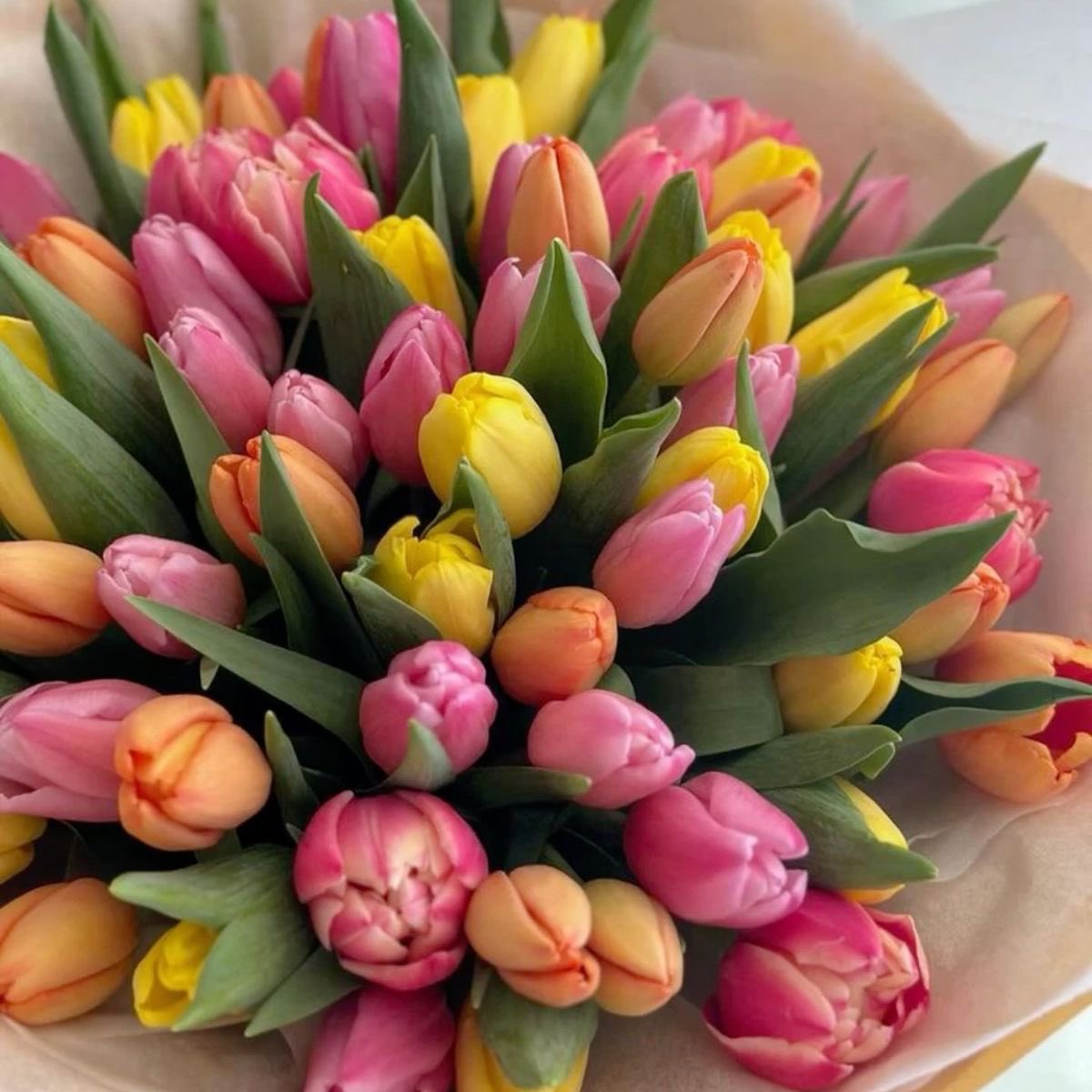 Tulips Library tweet media