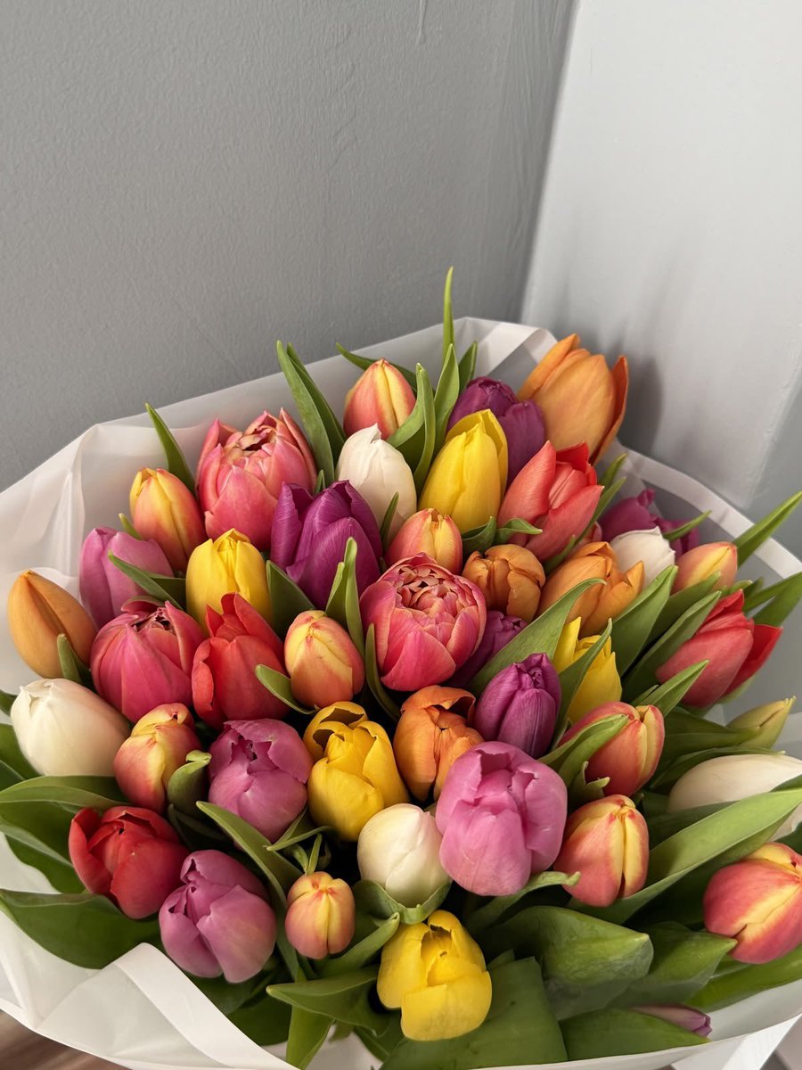 Tulips Library tweet media