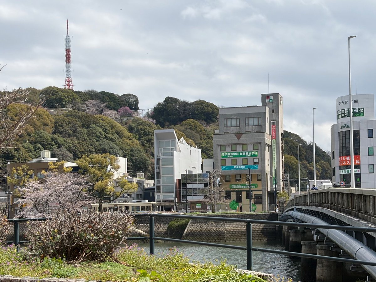 IWAD_senmon's tweet photo. #比治山、京橋川沿いでは　#桜が咲き始めました
4月7日の　#入学式　には満開になることを願ってます。

#お花見が楽しみですね https://t.co/8lsm1Npj1g