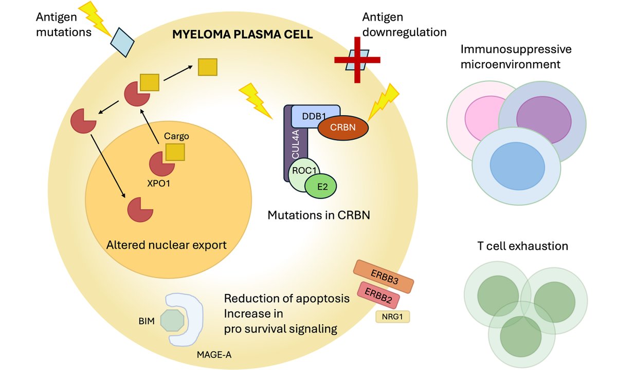 Cancer Drug Resistance tweet media