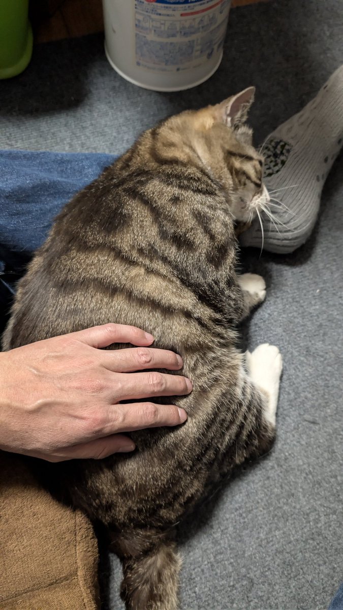 （ま） tweet media