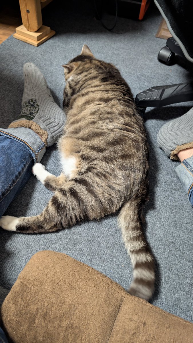 （ま） tweet media