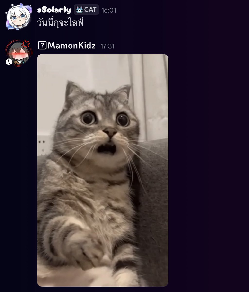 sSolarly | VGamer ✨🩵 tweet media