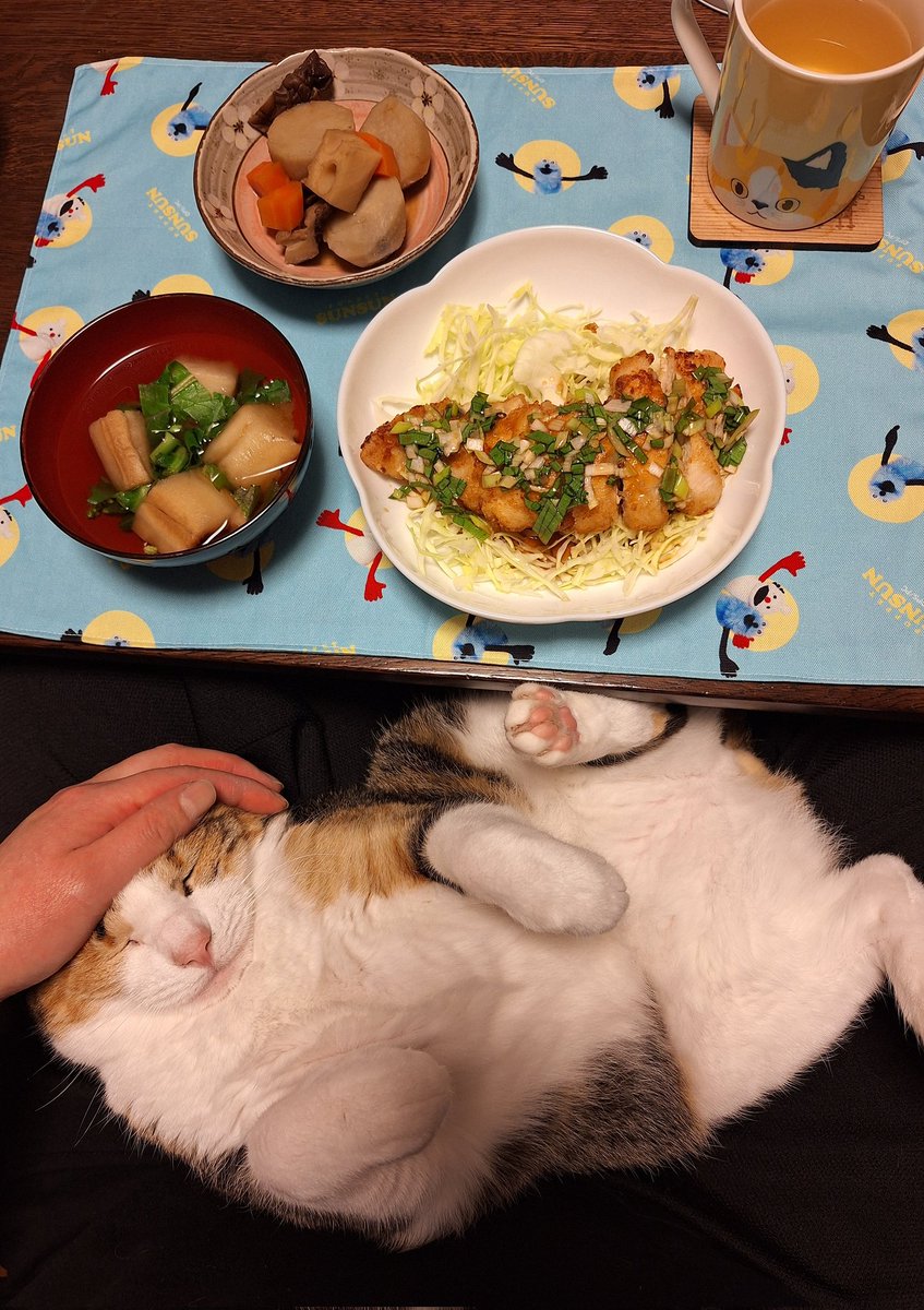 にこちゃまちゃんぬる tweet media