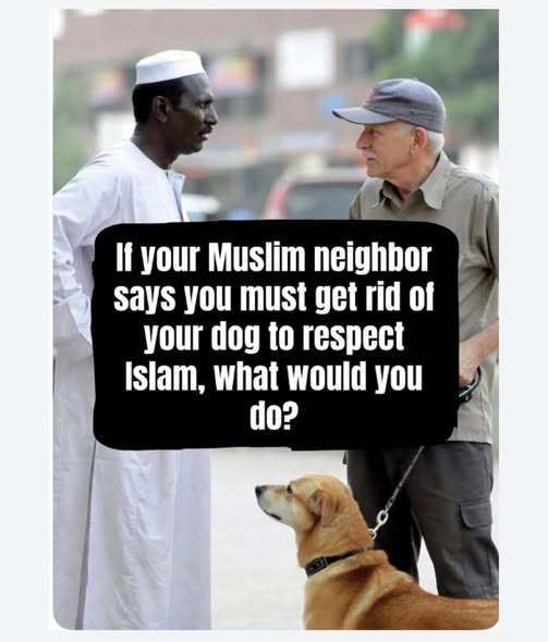 Make Europe Great Again - M.E.G.A tweet media