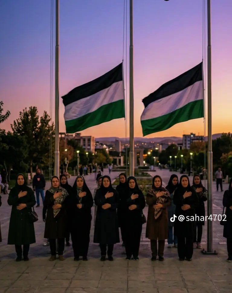 Dr. Sanam 🕊️صنم tweet media