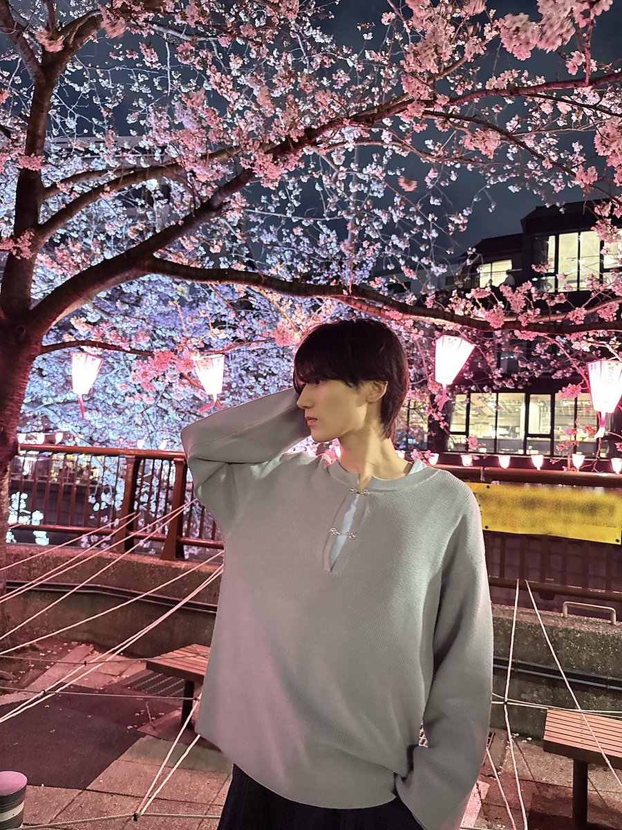 kaito_urahara's tweet photo. 夜桜っていいよね https://t.co/lkh5tS9LzQ