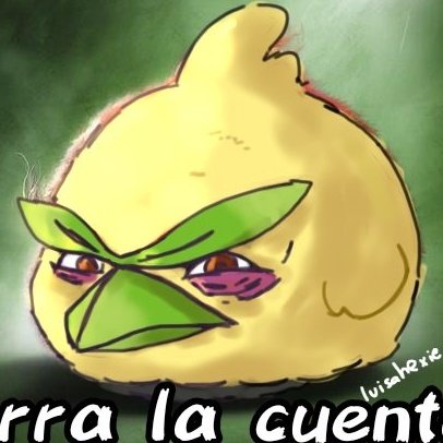 BigP1chuL4 tweet media