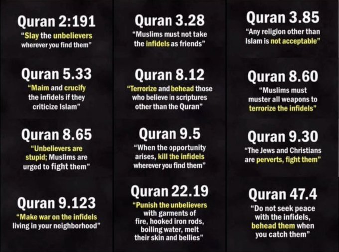 Tim 🍁 tweet media