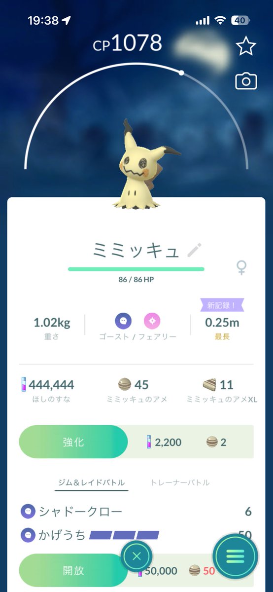 錯乱琉依チャ tweet media