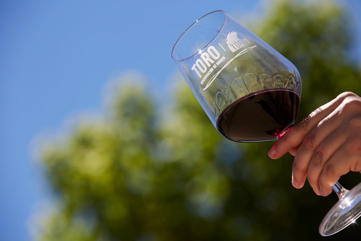 D.O. Toro tweet media