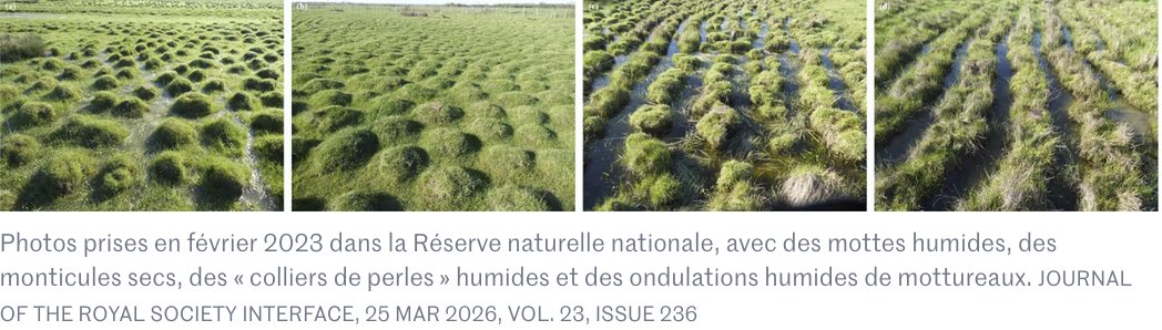 Enjeux de l'environnement tweet media