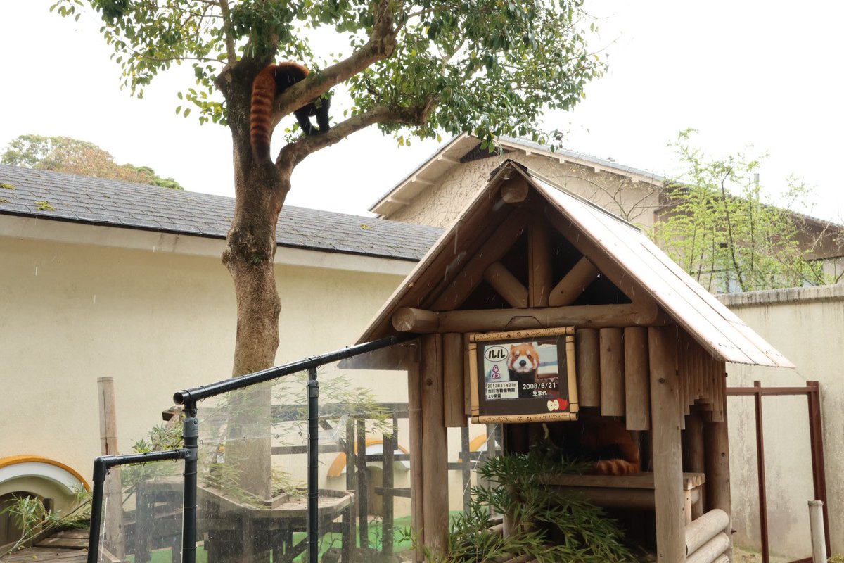 函南のえのさん🌸🗻浜松と伊豆市を旅したい tweet media