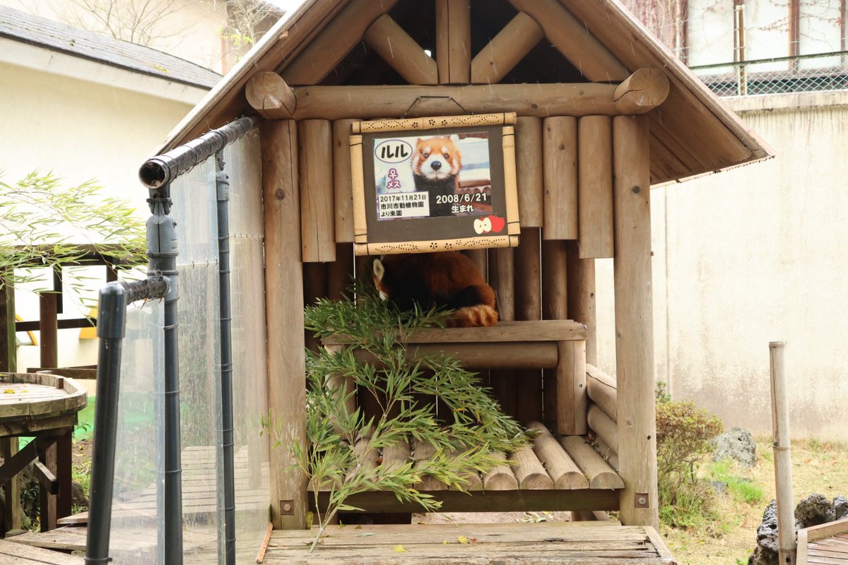 函南のえのさん🌸🗻浜松と伊豆市を旅したい tweet media