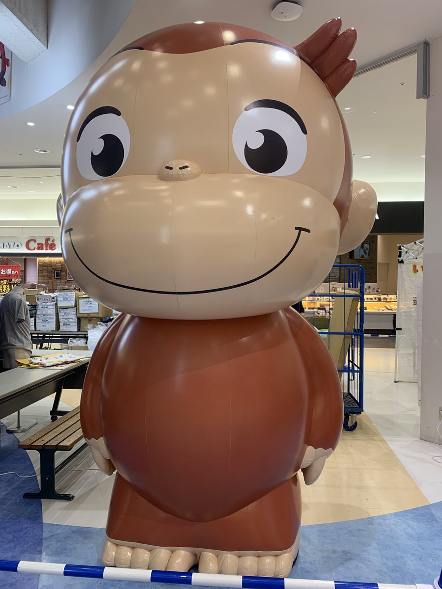 ルート43 tweet media