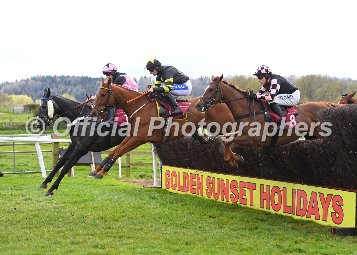 OfficialPhotographers tweet media