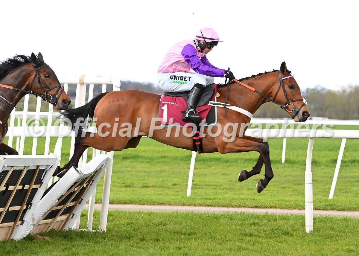 OfficialPhotographers tweet media