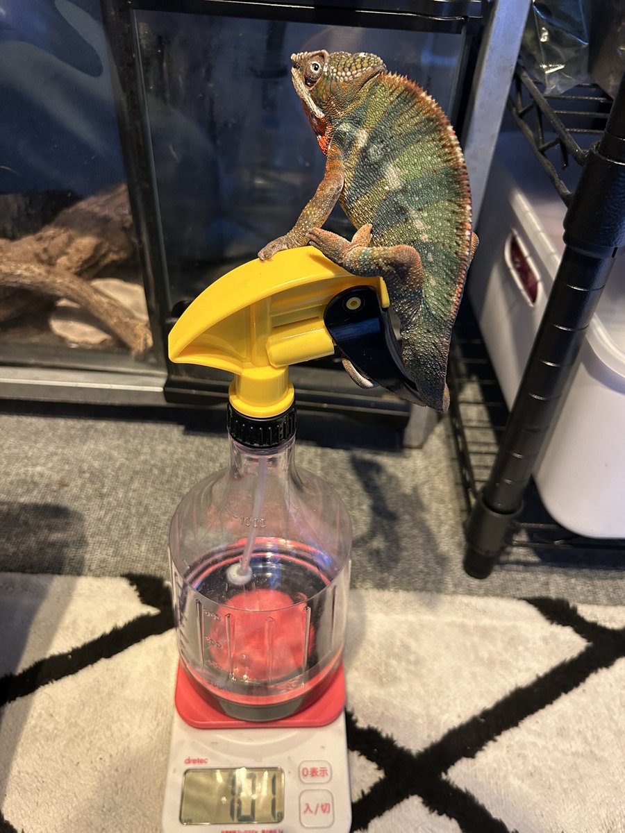 subenodo tweet media