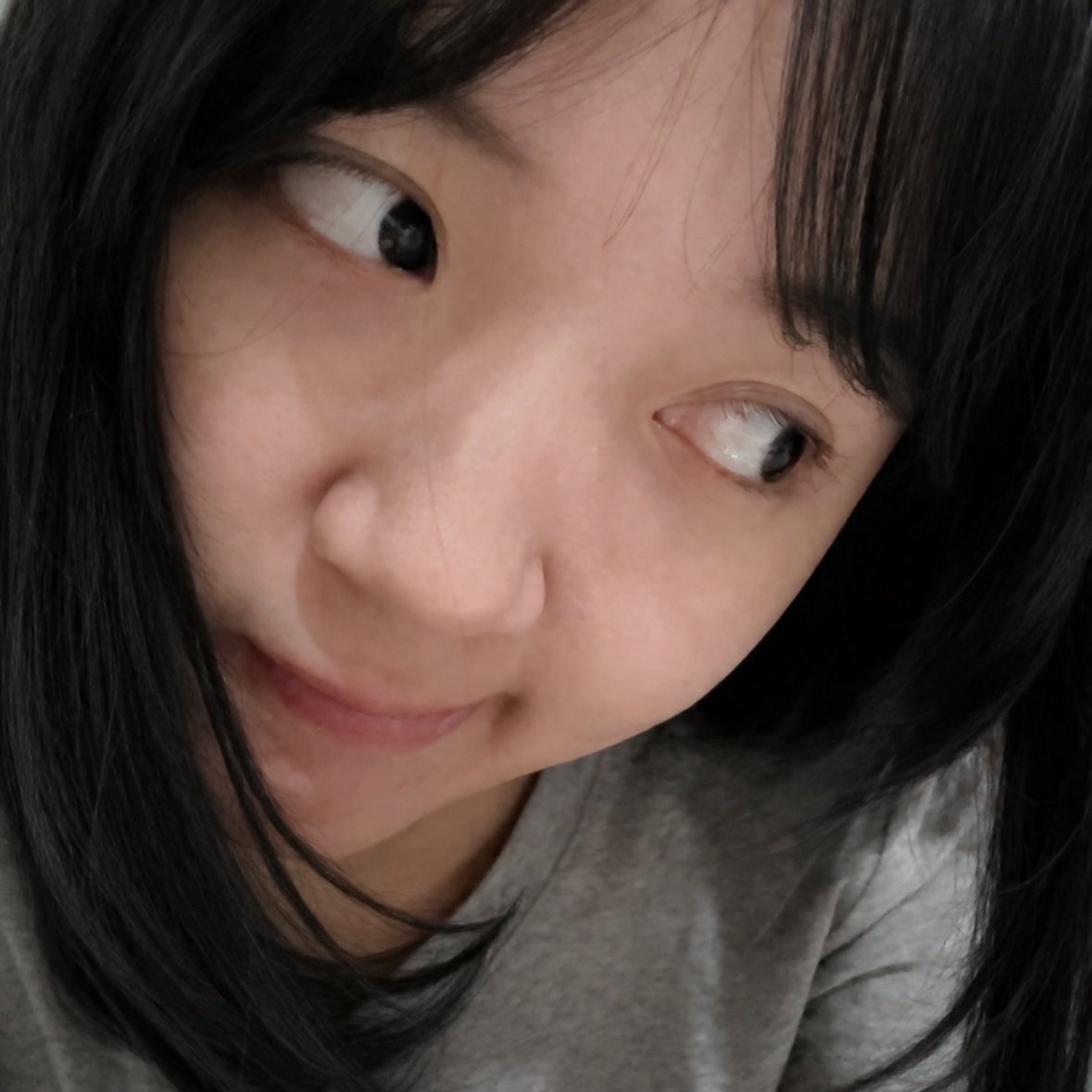 Aurellia tweet media