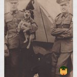 Photo by The Keep Military Museum (@TheKeepMuseum)
