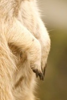 卯野壮馬 tweet media