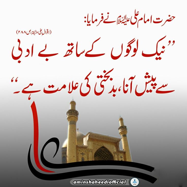 Sara Batool | سارہ بتول tweet media