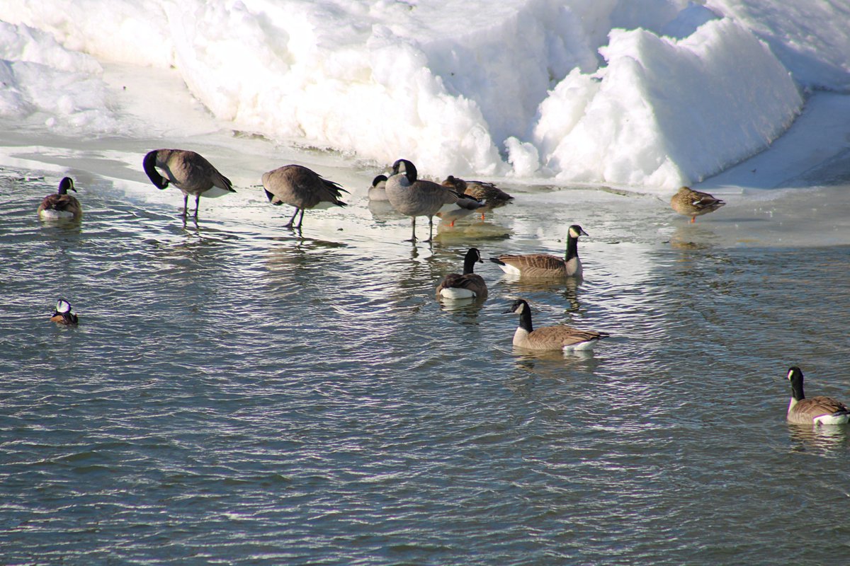 Klip-Pics tweet media