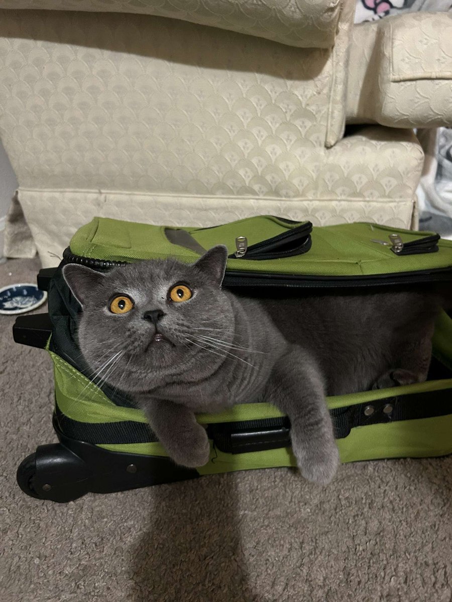 𖤐 𝔇𝔞𝔫𝔦 𖤐 tweet media