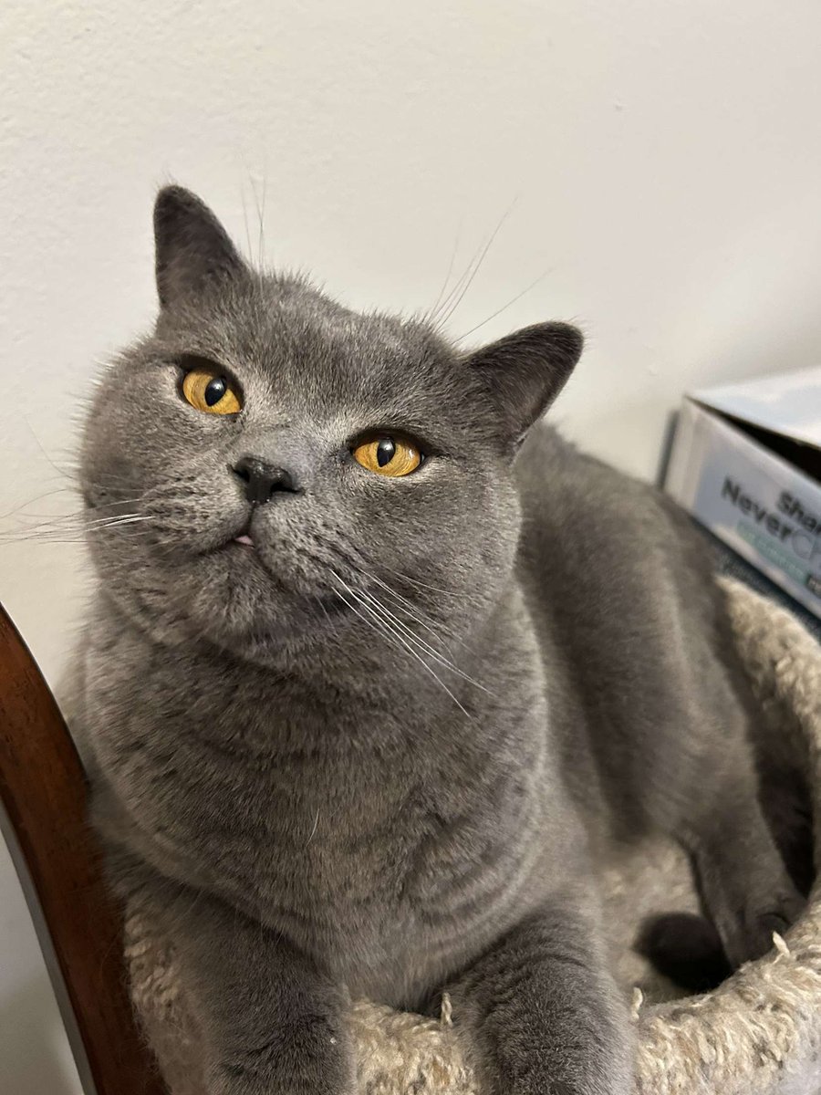 𖤐 𝔇𝔞𝔫𝔦 𖤐 tweet media