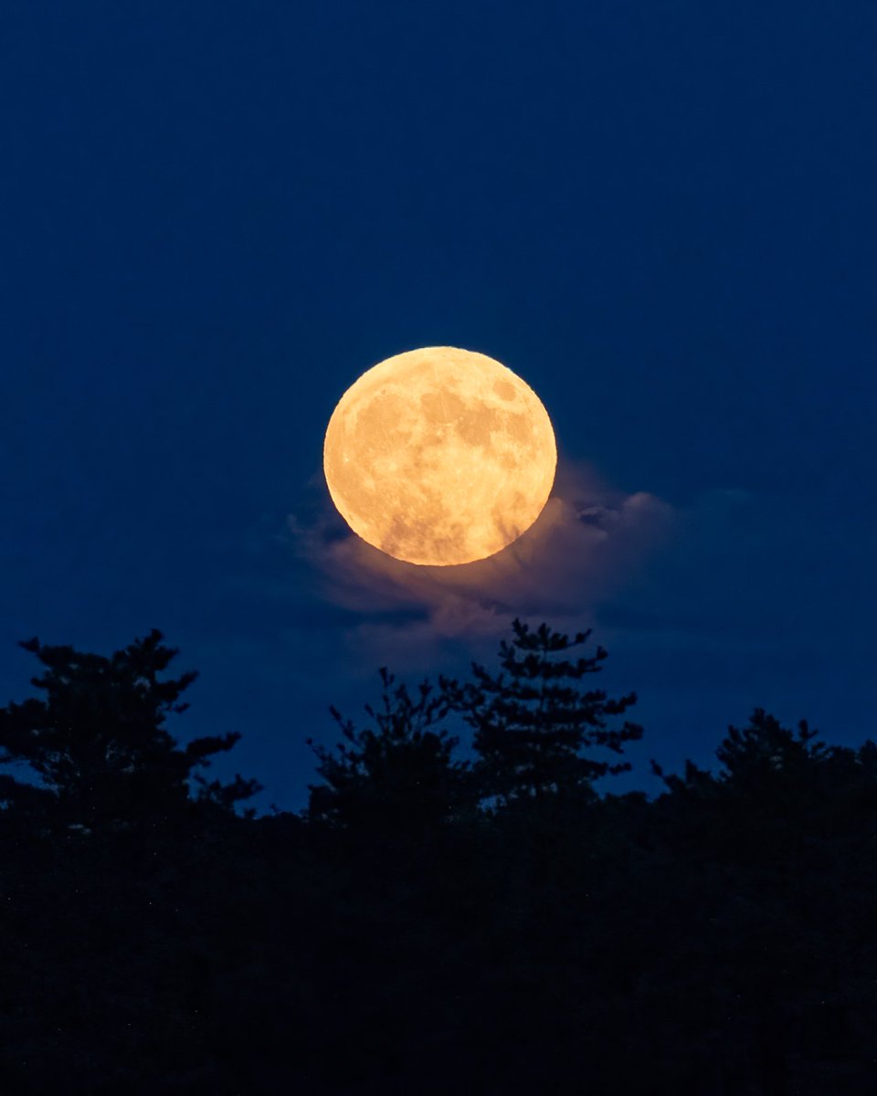 星の観察館「満天星」 tweet media