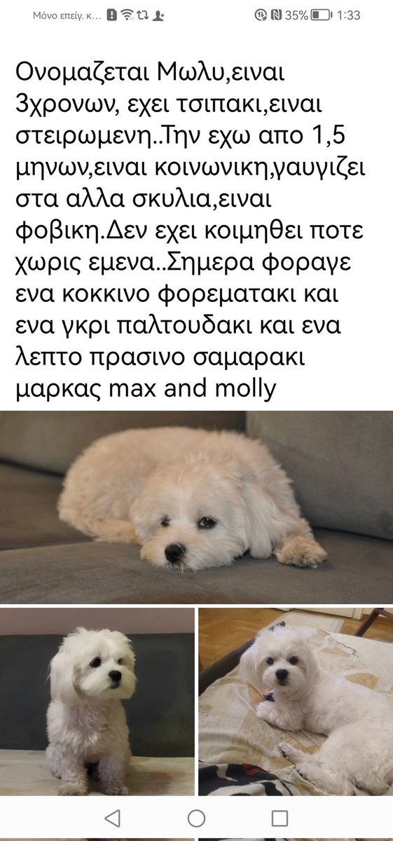 Christinaliroudia tweet media