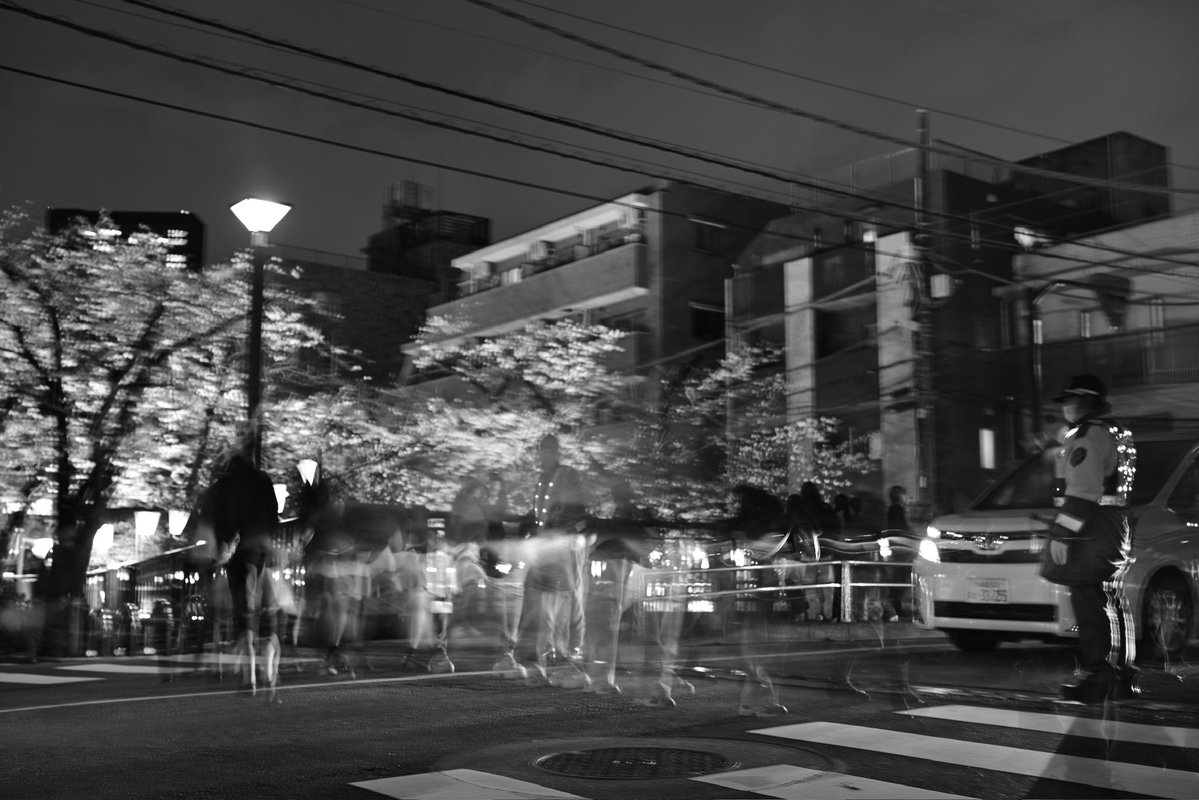 相沢菜々子 / Nanako Aizawa tweet media