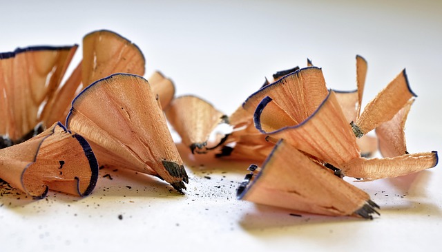 Insara Betz tweet media