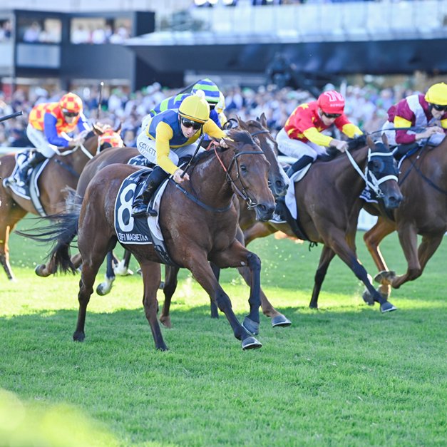 World Pool tweet media