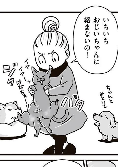 【再掲】「真夜中の住人」(1/2)

この頃散々グミと銀次郎にヤンチャしたムンニャですが、色々ありましてムンニャの子猫時代を上回るヤンチャモンスター後輩猫ができました。

因果応報
今はその新入りに振り回されているムンニャです🐈‍⬛ 