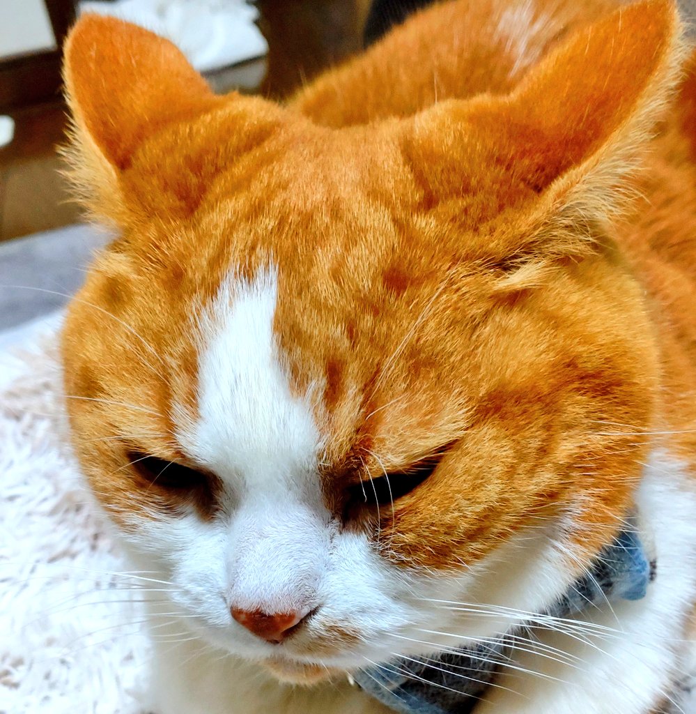 ❀suis❀ tweet media