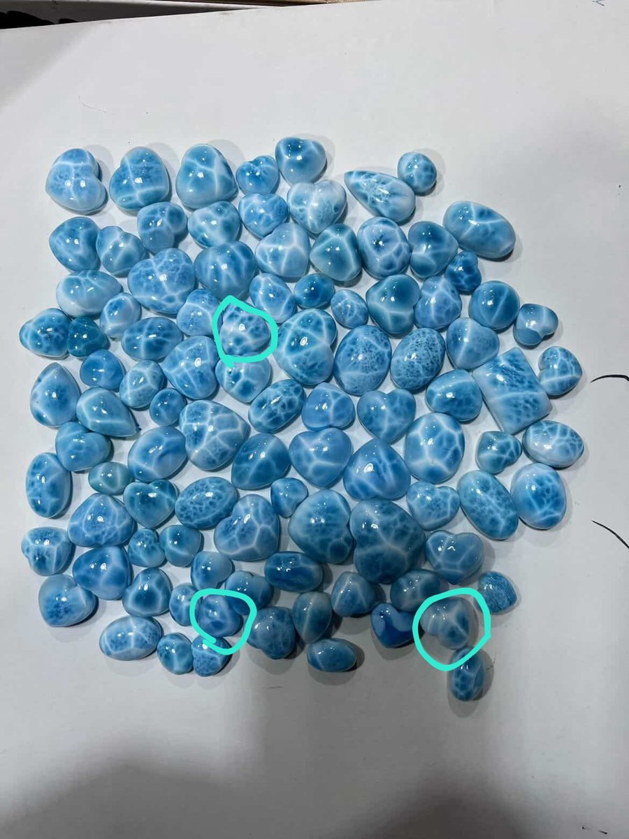 리시아 tweet media